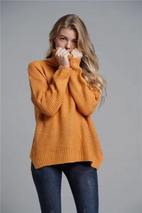 COOL TURTLENECK CASUAL SWEATER