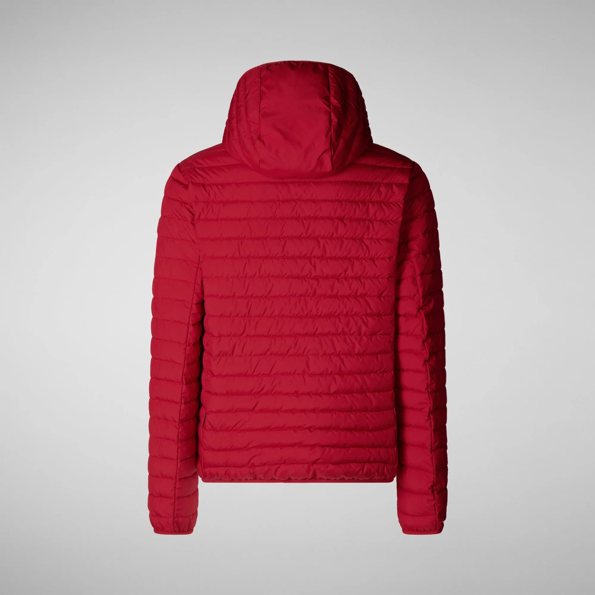 Man's  hooded animal free puffer jacket cael in dark red